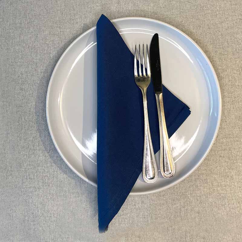 Blue Cotton Napkin
