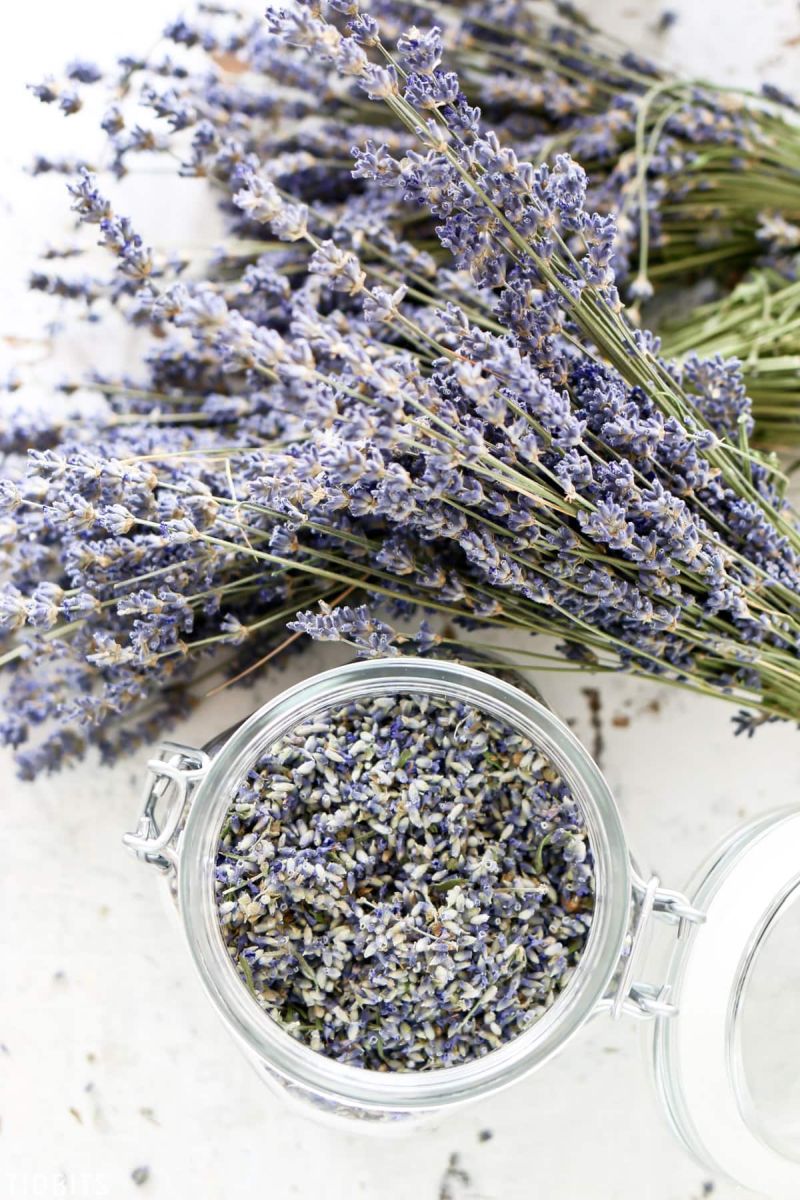 Dried Lavender