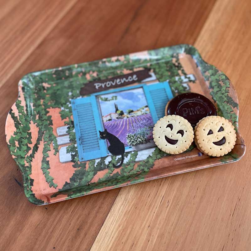 Melamine tray cat at window