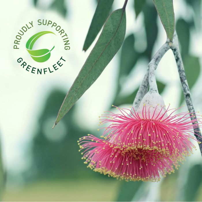 Pink flower with green leaves and Greenfleet logo in the corner