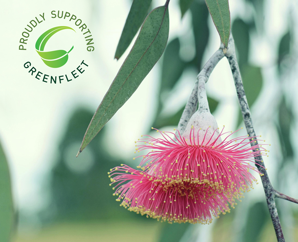 Better Business Partnership and Greenfleet